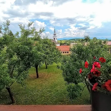 Apartamento Kék Rigó Dézsafürdős Mátranovák